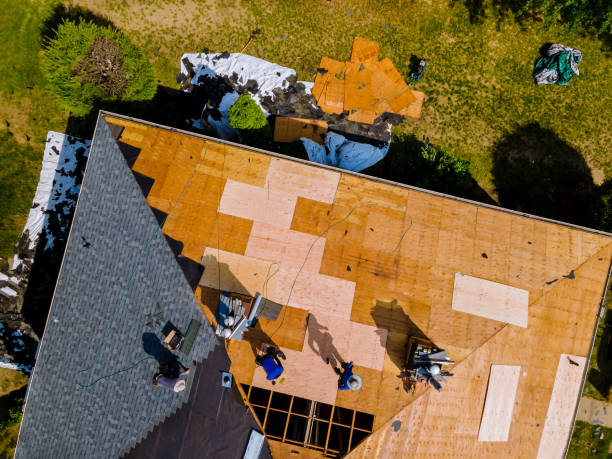 Best Roof Gutter Cleaning  in Cutten, CA