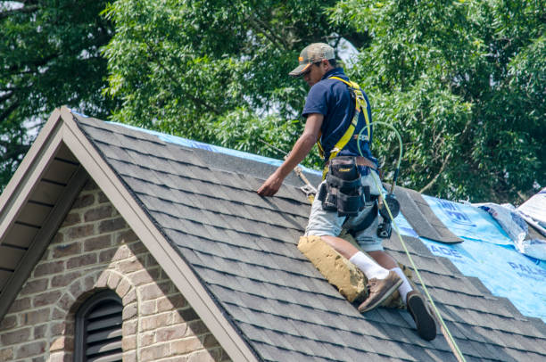 Best Roof Waterproofing Services  in Cutten, CA